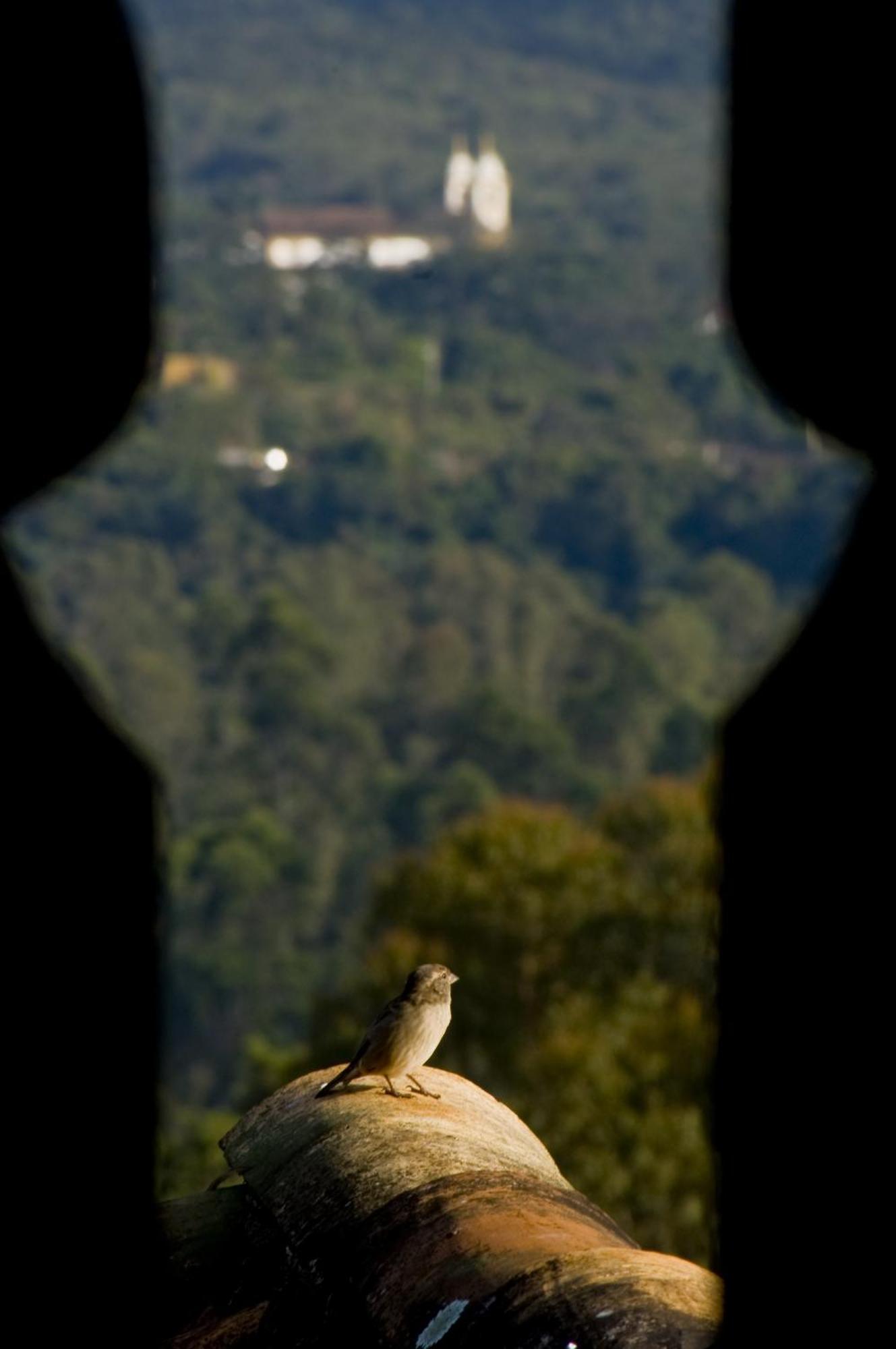 Hotel Pouso Da Torre à Tiradentes Extérieur photo